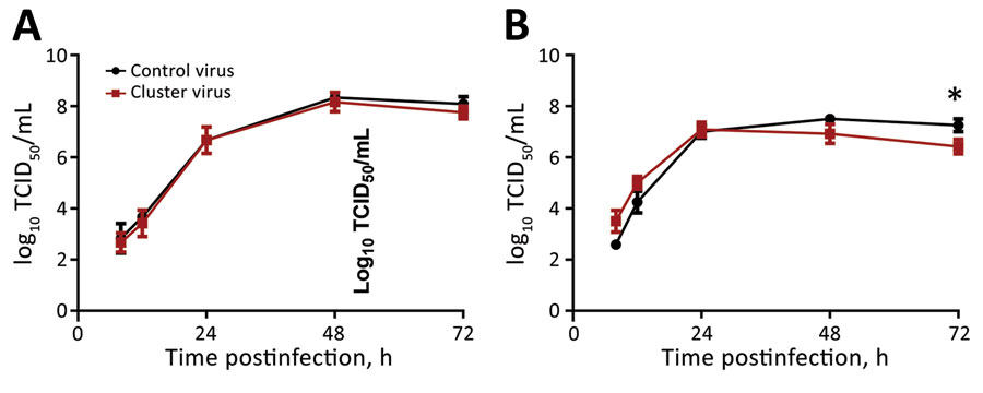 In vitro replicative fitness of influenza A(H1N1)pdm09 cluster and control viruses. The growth kinetics of the 2 viruses, the cluster virus A/Texas/137/2020, and A/New York/19/2020, were assessed using MDCK (A) and hCK (B) cell lines. These viruses have identical HA and NA amino acid sequences, except the H275Y substitution in NA. Cell monolayers were infected at a multiplicity of infection of 0.002 and the supernatants were harvested at 8, 12, 24, 48, and 72 hours postinoculation. Infectious virus titers were determined and expressed as log10 TCID50/mL. The lower limit of virus detection is 1.75 log10 TCID50/mL. Data are shown as mean +SD; we used the unpaired t-test with Welch’s correction for statistical comparisons (asterisk indicates p˂0.05). The hCK cell line was kindly provided by Dr. Y. Kawaoka (University of Wisconsin, Madison, WI, USA) per material transfer agreement. HA, hemagglutinin; hCK, humanized MDCK cells; NA, neuraminidase; TCID50, median tissue culture infectious dose.