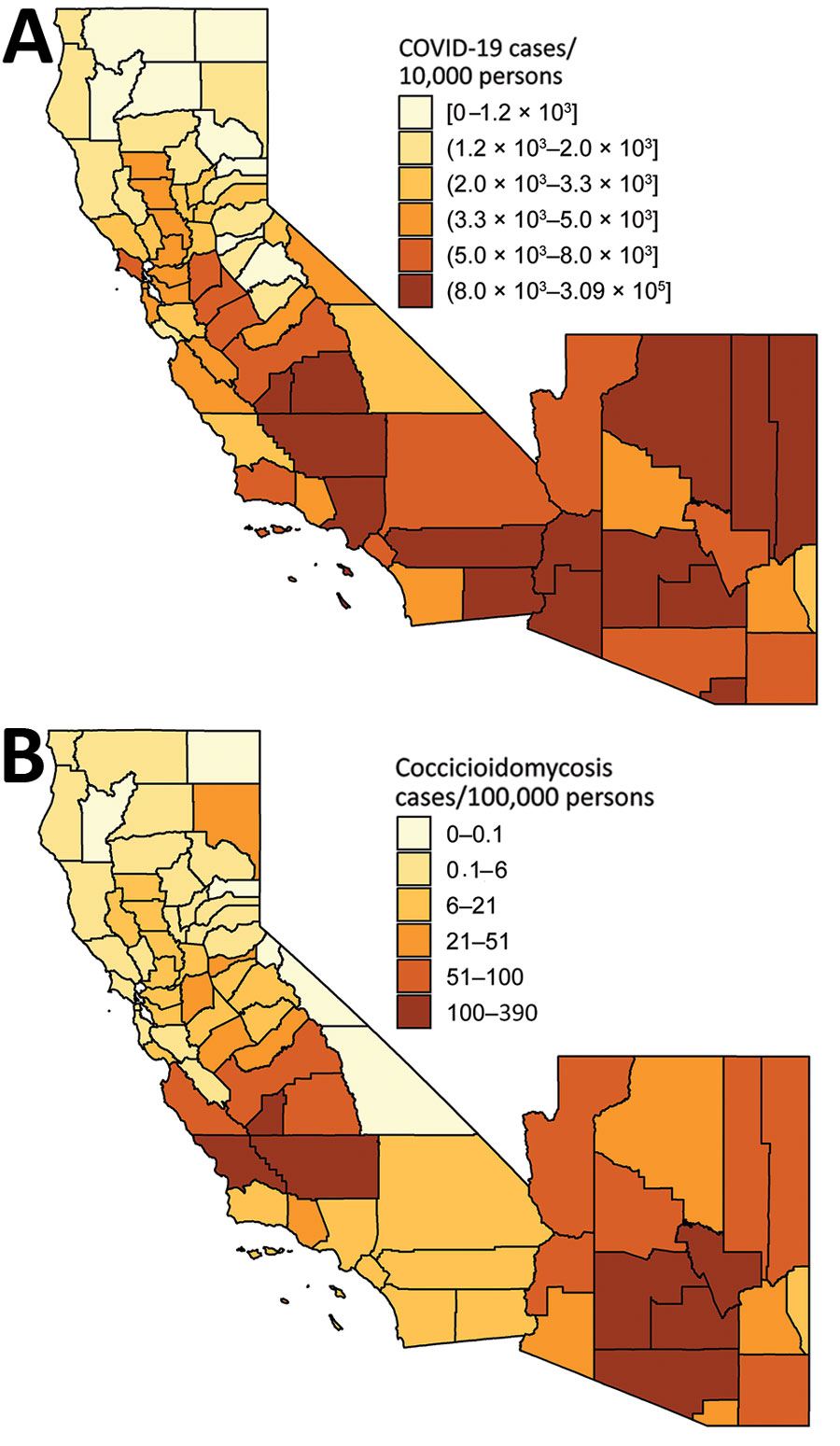 County-level incidence of (A) coronavirus disease (COVID-19) in 2020 and (B) coccidioidomycosis in 2019, California and Arizona. COVID-19 incidence reflects cumulative case count as of August 14, 2020 (5). Coccidioidomycosis incidence reflects annual incidence in 2019 (6,7). Shading indicates levels of incidence. Brackets indicate inclusive bounds; parentheses indicate exclusive bounds.