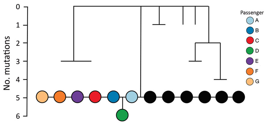 Simplified maximum-likelihood phylogenetic tree of genomes from severe acute respiratory syndrome coronavirus 2 from 7 passengers who traveled on flight EK448 (Boeing 777–300ER) from Dubai, United Arab Emirates, to Auckland, New Zealand, with a refueling stop in Kuala Lumpur, Malaysia, on September 29, 2020. Tree shows positive cases along with their closest genomic relatives sampled from the global dataset. Black circles illustrate cases obtained from the global dataset that are genetically identical, sampled September 2–23, 2020. Scale bar shows the number of mutations relative to the closest reconstructed ancestor from available global data.