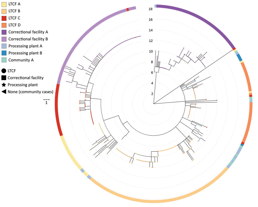 Phylogenetic tree of severe acute respiratory syndrome coronavirus 2 associated with selected outbreaks in Minnesota, USA, March 6–June 30, 2020. IQ-TREE (29) was used with the general time reversible substitution model for tree generation. Branch lengths were scaled to represent number of single-nucleotide mutations as shown in the scale key. LTCF, long-term care facility.