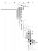 Phylogenetic tree of severe acute respiratory syndrome coronavirus 2 genome sequences associated with correctional facility A, Minnesota, USA, March 25–June 30, 2020. Filled circles represent sequences from samples from inmates, open circles represent sequences from samples from facility staff. IQ-TREE (29) was used with the general time reversible substitution model for tree generation. Branch lengths were scaled to represent number of single-nucleotide mutations, as shown in the scale. MDH, Minnesota Department of Health.