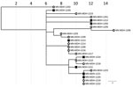 Phylogenetic tree of SARS-CoV-2 genome sequences associated with meat-processing plant A and the surrounding community, Minnesota, USA, March 15–June 30, 2020. Open circles represent sequences from samples from staff at processing plant A; squares represent sequences from samples from persons in the surrounding community. IQ-TREE (29) was used with the general time reversible substitution model for tree generation. Branch lengths were scaled to represent number of single-nucleotide mutations, as shown in the scale. MDH, Minnesota Department of Health.