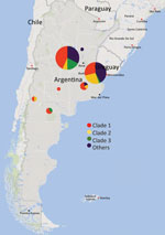Geographic distribution of Neisseria gonorrhoeae isolates with azithromycin MICs of >2 μg/mL, Argentina, January 2005–November 2019. Circle size corresponds to the number of isolates in each location. Circle colors indicate the proportion of isolates belonging to the 3 main genomic clades compared with other clades.
