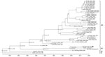 Maximum-clade credibility tree of complete coding sequences of Getah virus (GETV) strain B254 from Malaysia (black dot) and reference strains. Horizontal branches are drawn to a scale of estimated year of divergence. Times to the most recent common ancestor with 95% highest posterior density values (ranges in parentheses) are shown at nodes. Posterior probability values >0.6 of key nodes are shown. G, group.
