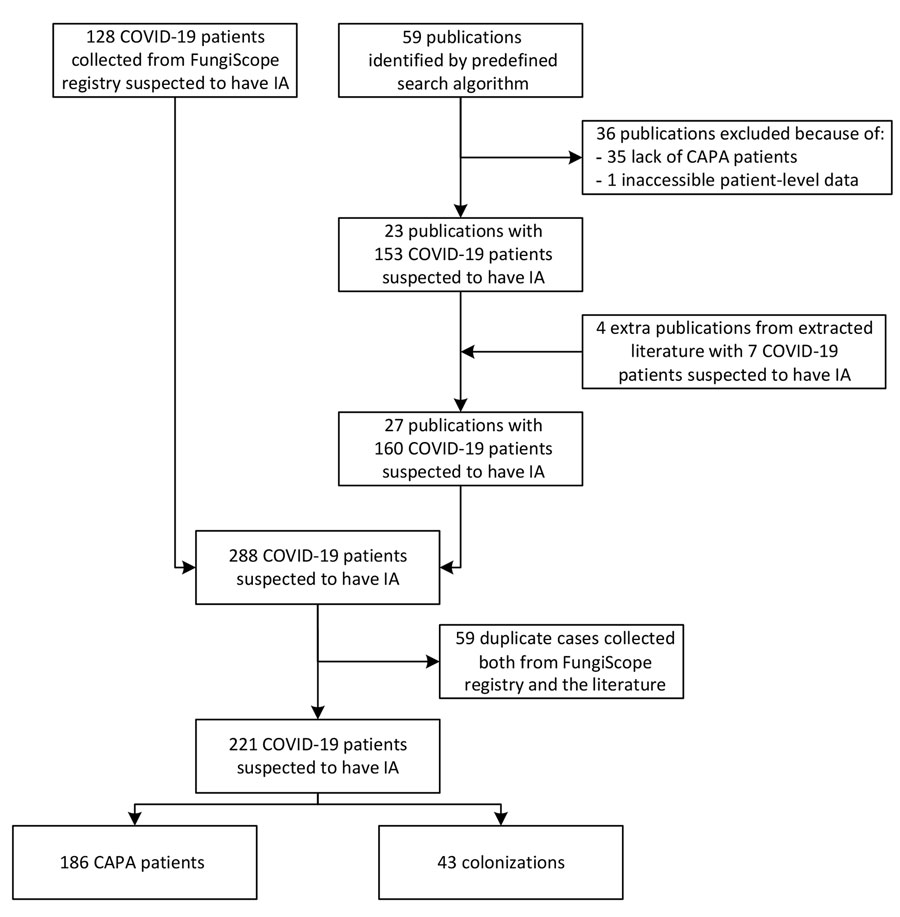 Enrollment process in study of patients with CAPA, March–August 2020. Patients were identified in the FungiScope registry and academic literature using the search string “(Aspergill*) AND (invasive OR putative OR probable OR infection OR case OR patient OR report) AND (COVID* OR corona* OR SARS-CoV-2) (Appendix Table 1). The initial 288 COVID-19 patients suspected to have IA were revised in a deduplication process; 59 double entries were identified. Only 1 report per patient was maintained. Thus, 221 individual COVID-19 patients suspected to have IA were assessed for CAPA. CAPA, COVID-19–associated pulmonary aspergillosis; COVID-19, coronavirus disease; EORTC/MSG, European Organization for Research and Treatment of Cancer/Mycoses Study Group; IA, invasive aspergillosis.