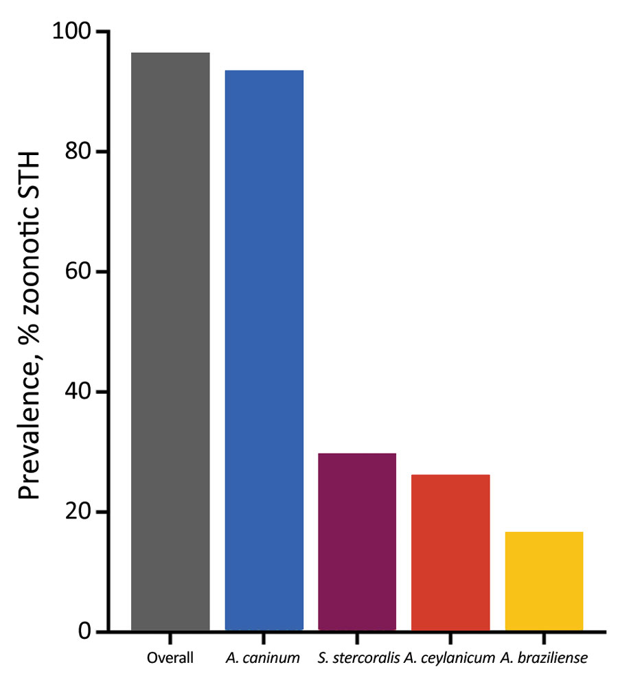 Prevalence of zoonotic soil-transmitted helminths in dogs on Tarawa Atoll, Kiribati.