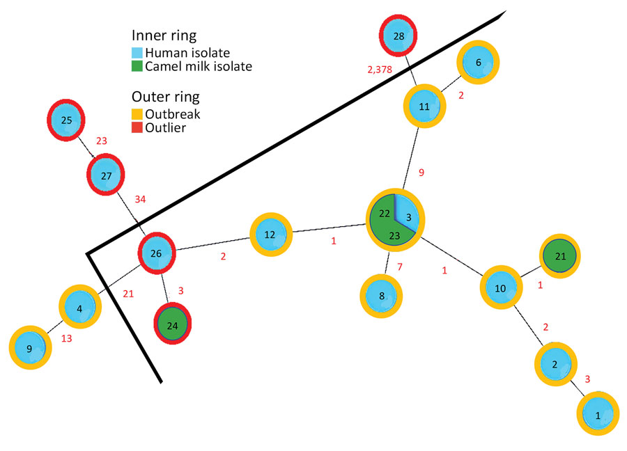 Minimum-spanning tree of core genome single-nucleotide polymorphisms analysis of Brucella melitensis outbreak traced to commercially sold camel milk, Israel, 2016. The phylogenetic tree includes human isolates, camel milk isolates, and both human and camel milk outlier sequences; numbers within circles correspond to isolate number given in the article text and numbers in red denote number of differing single-nucleotide polymorphisms between isolates. The nodes are colored according to the epidemiologic link (outbreak isolate or outlier), and outer rings are colored according to the sample source (clinical sample or camel milk).