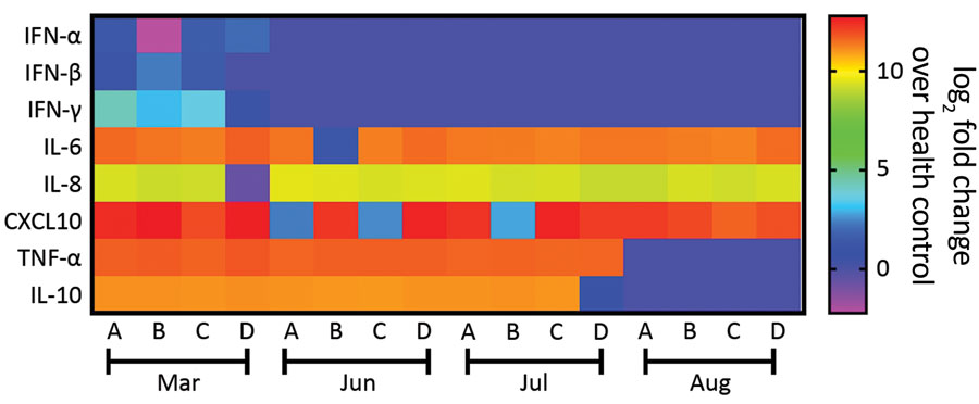 Heatmap showing the profile of innate immune response from patients who experienced 2 episodes of severe acute respiratory syndrome coronavirus 2 (SARS-CoV-2) infection, Brazil, 2020. We measured the mediators of innate immunity by ELISA for patients A–D. For comparison, these molecules were also quantified in the plasma from 5 healthy donors negative for SARS-CoV-2. The heatmap displays the log2 ratio of the fold-change from the plasma of the patients over the healthy volunteers. The means + standard error of the means for the healthy volunteers were the following: IFN-α = 20.4 + 4.7 pg/mL; IFN-β = 26.0 + 3.9 pg/mL; IFN-γ = 27.8 + 7.8 pg/mL; IL-6 = 13.4 + 1.7 pg/mL; IL-8 = 137 + 21.6 pg/mL; IL-10 = 165.4 + 40.7 pg/mL; TNF-α = 33.8 + 11.5 pg/mL; and CXCL-10 = 61.0 + 27.3 pg/mL. CXCL, C-X-C motif chemokine ligand IFN, interferon; IL, interleukin; TNF, tumor necrosis factor.