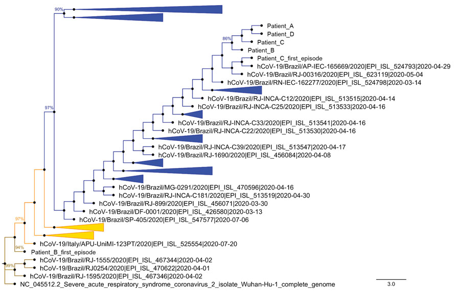 Phylogenetic analysis of severe acute respiratory syndrome coronavirus 2 genomes from reinfected patients, Brazil, 2020. Representative genomes deposited in GISAID (Appendix Table 1, Figure 3) were compared with sequences from virus genomes found in the respiratory samples from the first infection of patients B and C, and the second infection of patients A–D. A condensed phylogenetic tree rooted by reference genome Wuhan-Hu-1 (EPI_ISL_402125) was created with 1,000 bootstraps. Initial trees for the heuristic search were obtained automatically by applying neighbor-joining and BioNJ algorithms to a matrix of pairwise distances estimated using the Jukes-Cantor model (24), and then selecting the topology with a superior log-likelihood value. The tree with the highest log likelihood (−46487.36) is shown. The final dataset included a total of 29,920 positions. Evolutionary analyses were conducted in MEGA version 7.0 (22,23). Evolutionary history was inferred using the maximum-likelihood method and Jukes-Cantor model. Brown represents the emerging clade 19A, orange the clade 20A, and blue the clade 20B. Scale bar indicates substitutions per site. hCoV, human coronavirus.