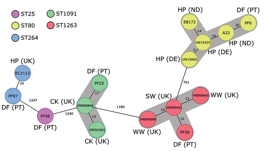 Minimum-spanning tree based on the core-genome multilocus sequence typing (cgMLST) data from Enterococcus faecium isolates (n = 15) from different sources in Europe. The tree is based on cgMLST (1,423 genes) analyses made with Ridom SeqSphere+ version 7.2 software (https://www.ridom.de/seqsphere). Each circle represents 1 allele profile. The numbers on the connecting lines represent the number of cgMLST allelic differences between 2 isolates. Sequence types are shown in colored circles (see key); numbers in circles are isolate identifications. Gray shading around nodes indicates clusters of closely related isolates (<20). CK, chicken; DE, Denmark; DF, dog food; HP, hospitalized patient; PT, Portugal; ST, sequence type; SW, swine; UK, United Kingdom; WW, wastewater.