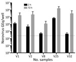 Replication in human intestinal enteroids of norovirus from vomit samples. Differentiated human intestinal enteroid monolayers were inoculated with norovirus-positive vomit samples. The number of norovirus GEq was quantified by reverse transcription quantitative PCR, 2 hours and 72 hours postinfection. Five of 20 vomit samples showed viral replication (defined as a >10-fold increase in the GEq). Data are presented as the mean +SD of biologic triplicates. The inoculum for vomit samples that demonstrated viral replication were as follows: V1, 7.9 × 106 GEq/well; V2, 1.4 × 106 GEq/well; V8, 1.2 × 105 GEq/well; V25, 1.6 × 107 GEq/well; and V32, 9.6 × 104 GEq/well. The dotted lines represent quantitative reverse transcription PCR limit of detection. GEq, genomic equivalent.