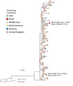 Phylogenetic context of novel severe acute respiratory syndrome coronavirus 2 B.1.1.7 genomes isolated from 2 patients in Brazil (labeled on figure), December 2020. Downsampling for the phylogenetic analysis of the B.1.1.7 SARS-CoV-2 variant (n = 4,693, December 31, 2020) was performed by selecting 1 sequence per country per day. As outgroups, we included 2 B.1.1 sequences from the United Kingdom that were closely related to the lineage of interest and sequence WH04 from Wuhan, China (GISAID identification no. EPI_ISL_406801; http://www.gisaid.org). Details on multiple alignment and phylogenetic tree reconstruction are described elsewhere (4). Tree file, aligned sequences, and GISAID acknowledgment tables are available at https://github.com/CADDE-CENTRE/VOC-Lineage-Brazil. Scale bar indicates nucleotide substitutions per site. VOC, variant of concern. 