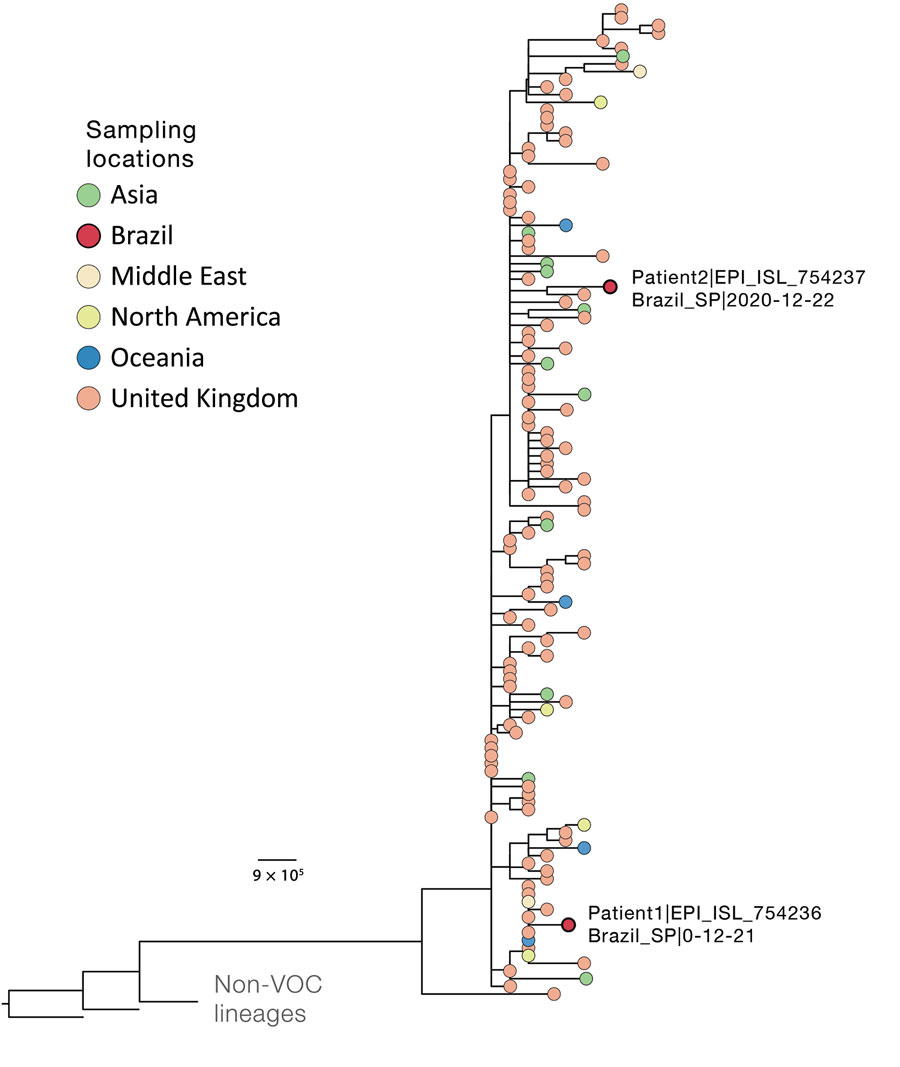 Phylogenetic context of novel severe acute respiratory syndrome coronavirus 2 B.1.1.7 genomes isolated from 2 patients in Brazil (labeled on figure), December 2020. Downsampling for the phylogenetic analysis of the B.1.1.7 SARS-CoV-2 variant (n = 4,693, December 31, 2020) was performed by selecting 1 sequence per country per day. As outgroups, we included 2 B.1.1 sequences from the United Kingdom that were closely related to the lineage of interest and sequence WH04 from Wuhan, China (GISAID identification no. EPI_ISL_406801; http://www.gisaid.org). Details on multiple alignment and phylogenetic tree reconstruction are described elsewhere (4). Tree file, aligned sequences, and GISAID acknowledgment tables are available at https://github.com/CADDE-CENTRE/VOC-Lineage-Brazil. Scale bar indicates nucleotide substitutions per site. VOC, variant of concern. 