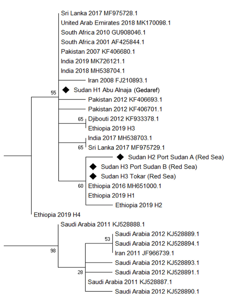 Phylogenetic analysis of Anopheles stephensi mosquitoes collected in Sudan, 2016–2018, and reference sequences. Maximum-likelihood tree was constructed by using mitochondrial cytochrome oxidase 1 sequences from Sudan (diamonds) and other countries from which data are available. GenBank accession numbers are provided for reference sequences.