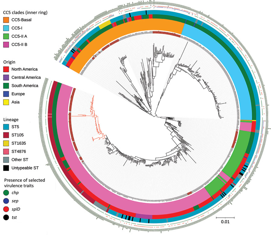 Maximum-likelihood phylogenetic tree of 179 methicillin-resistant Staphylococcus aureus CC5 isolates from Rio de Janeiro, Brazil, 2014–2017 (red text) and 482 reference genomes (7). Red branches indicate the Rio de Janeiro clone of the lineage ST105(CC5)-SCCmecII-t002. Scale indicates substitutions per site. CC, clonal complex; SCC, staphylococcal chromosome cassette; ST, sequence type.