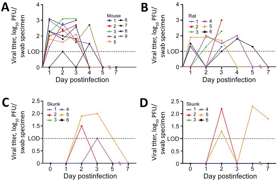 Oropharyngeal shedding of severe acute respiratory syndrome coronavirus 2 in deer mice (A), bushy-tailed woodrats (B), and striped skunks (C) and nasal shedding in striped skunks (D). LOD = 1 log10 PFU. LOD, limit of detection.