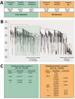 Molecular characterization of a severe acute respiratory syndrome coronavirus 2 reinfection case in Salvador, Bahia State, northeast Brazil. A) Timeline of symptom onset and molecular and serologic diagnosis. B) Time-scaled maximum-likelihood tree, including the new genomes (GISAID accession nos. EPI_ISL_756293 and EPI_ISL_756294; https://www.gisaid.org) recovered from a 45-year-old woman residing in Salvador and full-length viral genomes from Brazil available through GISAID as of January 14, 2021 (Appendix Table, https://wwwnc.cdc.gov/EID/article/27/5/21-0191-App1.xlsx). New genomes are highlighted with red circles. Branch support (SH-aLTR >0.8) is shown at key nodes. C) Mutational pattern of the 2 isolates obtained from the same patient within a 147-day interval. Only unique mutations and lineage defining mutations for B.1.1.33 and P.2 are shown. ORF, open reading frame; rRT-PCR, real-time reverse transcription PCR; UTR, untranslated region.