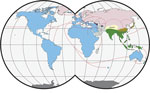 Worldwide distribution of Mus musculus mouse subspecies. Colors indicate subspecies ranges: green and tan, M. musculus castaneus; blue and purple, M. musculus domesticus; pink, M. musculus musculus ; gray, central populations and M. musculus gentilulus. Note that house mice may not be found throughout the complete extent of some areas (e.g., subarctic regions, the Sahara Desert, and the Amazon rainforest). The purple, and gray areas indicate regions of hybridization. Red arrows indicate inferred routes of historical migrations and recent movements in association with humans. Adapted from (7,8). Copyright ©2012 Springer-Verlag. All rights reserved. Adapted with permission from Springer Science and Business Media and Michael Nachman.