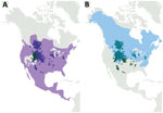 Overlap of raccoon and meadow vole distributions and chronic wasting disease epidemics, North America. A) Light purple shading indicates raccoon distribution; B) light teal shading indicates meadow vole distribution. Dark green areas and dark purple (A) and teal (B) overlays show known locations of chronic wasting disease in free-ranging cervids (as of March 2020).
