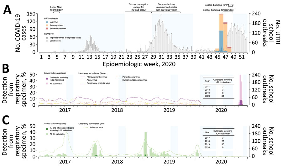 Respiratory illness outbreaks in primary and secondary schools, kindergartens, childcare centers, and nursery schools in Hong Kong. A) Weekly number of outbreaks of upper respiratory tract infection in schools reported during October 25–November 28, 2020, overlaid on the epidemic curve of daily COVID-19 case numbers in Hong Kong, by date of reporting. B) Weekly numbers of outbreaks of upper respiratory tract infection in schools during weeks 44–48 of 2020 and school outbreaks involving >20 persons reported during 2017–2020. Lines indicate detection rates of rhinovirus/enterovirus and other viruses in respiratory specimens collected for laboratory surveillance. C) Weekly numbers of outbreaks of influenza-like illness and influenza in schools reported during 2017–2020. Dotted line indicates detection of influenza virus in respiratory specimens collected for laboratory surveillance. Durations of territorywide regular school breaks (summer holiday) during 2017–2019 and school dismissals implemented in response to COVID-19 in 2020 are shaded in blue. ILI, influenza-like-illness; URTI, upper respiratory tract infection; KG/CCC, kindergartens, child-care centers, and nursery schools; K2, kindergarten year 2 (4–5 years of age); P1–P3, primary school years 1–3 (6–9 years of age) 