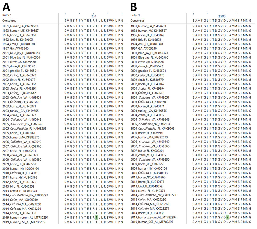 Amino acid sequence alignments depicting variation in the eastern equine encephalitis virus from a woman in Alabama, USA, 2019, compared with reference viruses. Open reading frames from 46 eastern equine encephalitis virus complete genomes were translated and aligned with ClustalW (16). Amino acid alignments show variants in the 2019 sequence in the nonstructural protein I251T (A) and structural E2 protein L62S (B). Green shading indicates changes unique to the virus sequence obtained from serum compared with cerebrospinal fluid. Reference viruses are labeled with year of isolation, host, state of isolation, and GenBank accession number.