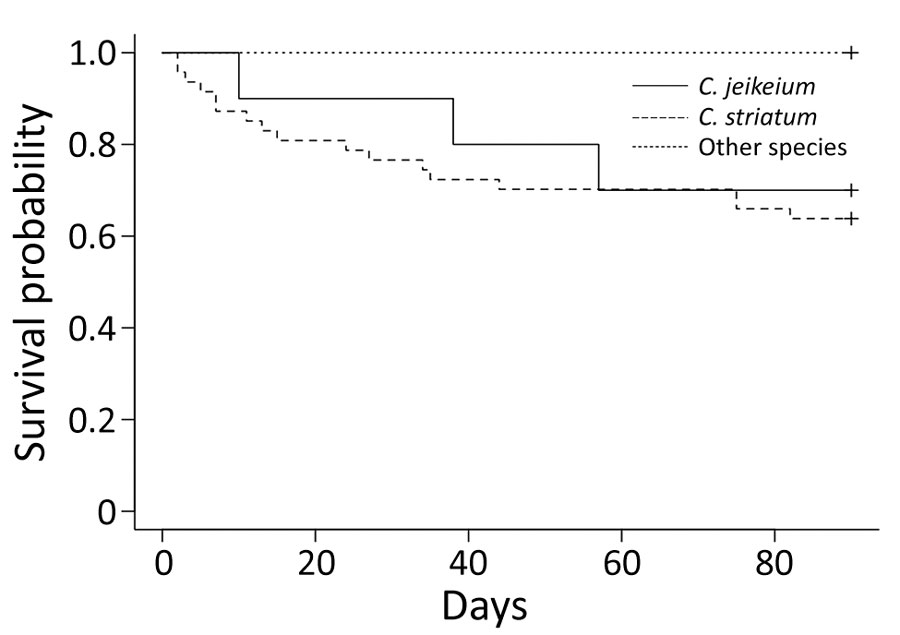 Kaplan-Meier curve showing survival probability after episodes of true bacteremia caused by Corynebacterium species, Japan, 2014–2020.