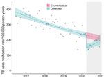 Effects of coronavirus disease (COVID-19) pandemic on monthly TB case notification rates in Blantyre, Malawi. Circles represent the observed number of cases each month. Solid blue line represents the fitted model with both step and slope change due to COVID-19; teal shaded area represents 95% CI. Pink dotted line represents counterfactual expected TB rates; pink shaded area represents 95% CI. Gray shaded area on the right indicates timeframe in which the COVID-19 emergency was declared in Malawi. TB, tuberculosis.