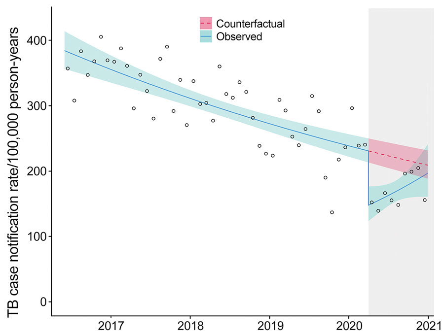 Effects of coronavirus disease (COVID-19) pandemic on monthly TB case notification rates in Blantyre, Malawi. Circles represent the observed number of cases each month. Solid blue line represents the fitted model with both step and slope change due to COVID-19; teal shaded area represents 95% CI. Pink dotted line represents counterfactual expected TB rates; pink shaded area represents 95% CI. Gray shaded area on the right indicates timeframe in which the COVID-19 emergency was declared in Malawi. TB, tuberculosis.
