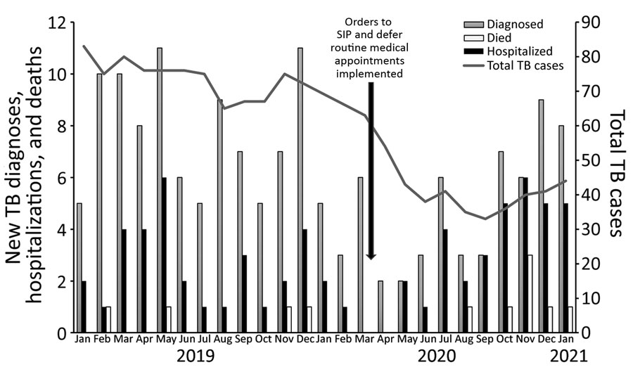 Comparison of TB cases pre-SIP (January 1, 2019–March 15, 2020) and after SIP (March 16, 2020–January 31, 2021), San Francisco, California, USA.  Scales for the y-axes differ substantially to underscore patterns but do not permit direct comparisons. Total TB cases indicates total number of case-patients receiving TB treatment, by month. Cases were counted according to the month when TB was diagnosed. In the first months of the pandemic after SIP was implemented (March 16–June 30, 2020), numbers of patients newly diagnosed with TB decreased compared with the 14.5 months prior. In early July 2020, the number of patients newly diagnosed with TB began to increase, with a higher proportion requiring hospitalization or having a TB-related death. SIP, shelter-in-place; TB, tuberculosis.
