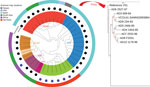 Maximum-likelihood phylogenetic tree for Vibrio cholerae O141 in a global context for 38 isolates from Ctx-positive V. cholerae and Ctx-negative serogroups. Numbers along branches are bootstrap values. Scale bar indicates nucleotide substitutions per site. Ctx, cholera toxin.