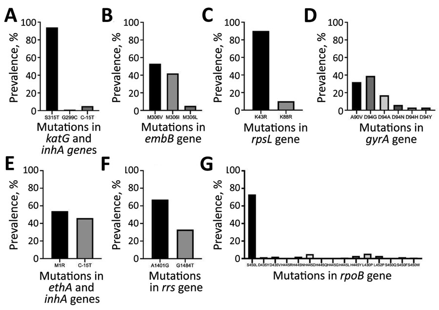 Prevalence of resistance-conferring mutations in genes of phenotypically resistant isolates of Mycobacterium tuberculosis strains, Myanmar. A) katG and inhA; B) embB; C) rpsL; D) gyrA; E) ethA and inhA; F) rrs; G) rpoB. 