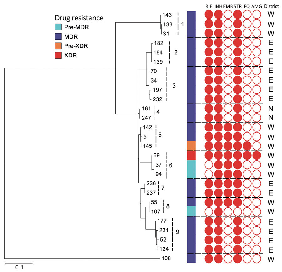 Maximum-likelihood tree of Mycobacterium tuberculosis strains, Myanmar, within 9 clusters and their drug resistance profiles. Dotted lines indicate boundaries of individual clusters. An outgroup (#108) differs by >100 single-nucleotide polymorphisms from the strains within 9 clusters. N, E, and W indicate the North, East, and West Districts of Yangon, respectively. MDR, resistant to 2 first-line drugs (isoniazid and rifampin); pre-MDR, resistant to 1 of 2 first-line drugs (isoniazid or rifampicin); pre-XDR, resistant to fluoroquinolones or injectable drugs in addition to MDR; XDR, resistant to fluoroquinolones and injectable drugs, in addition to MDR. AMG, aminoglycosides; ETH, ethambutol; FQ, fluoroquinolones; INH, isoniazid; RIF, rifampin; STR, streptomycin. Scale bar indicates nucleotide substitutions per site.