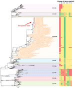 Phylogenetic tree of H5N6 viruses sequenced in this study, in addition to all publicly available H5N6 and closely related H5 sequences available from GenBank and GISAID. Red dots represent the Bangladesh H5N6 viruses sequenced in this study. Topological support values (SH-like support) of selected nodes are displayed.