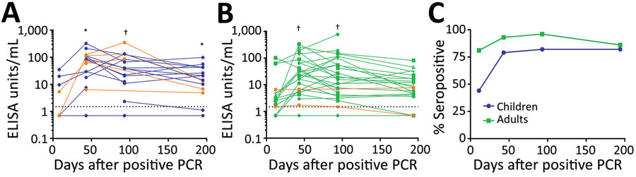 Persistence of IgG responses against severe acute respiratory syndrome coronavirus 2 in children and adults, Australia, 2020–2021. Patients tested positive by PCR, ELISA, or both. A) Antibody responses of 22 children 0–18 years of age. B) Antibody responses of 32 adults 22–73 years of age. Orange points and lines indicate asymptomatic cases; blue points and lines indicate symptomatic cases in children; green points and lines indicate symptomatic cases in adults. Dotted lines indicate seropositivity cutoff. C) Seropositivity rates in 22 children and 32 adults. Blue points and lines indicate all children, regardless of symptoms; green points and lines indicate all adults, regardless of symptoms. *p<0.05; †p<0.01 (compared with the fist timepoint [day 11]).