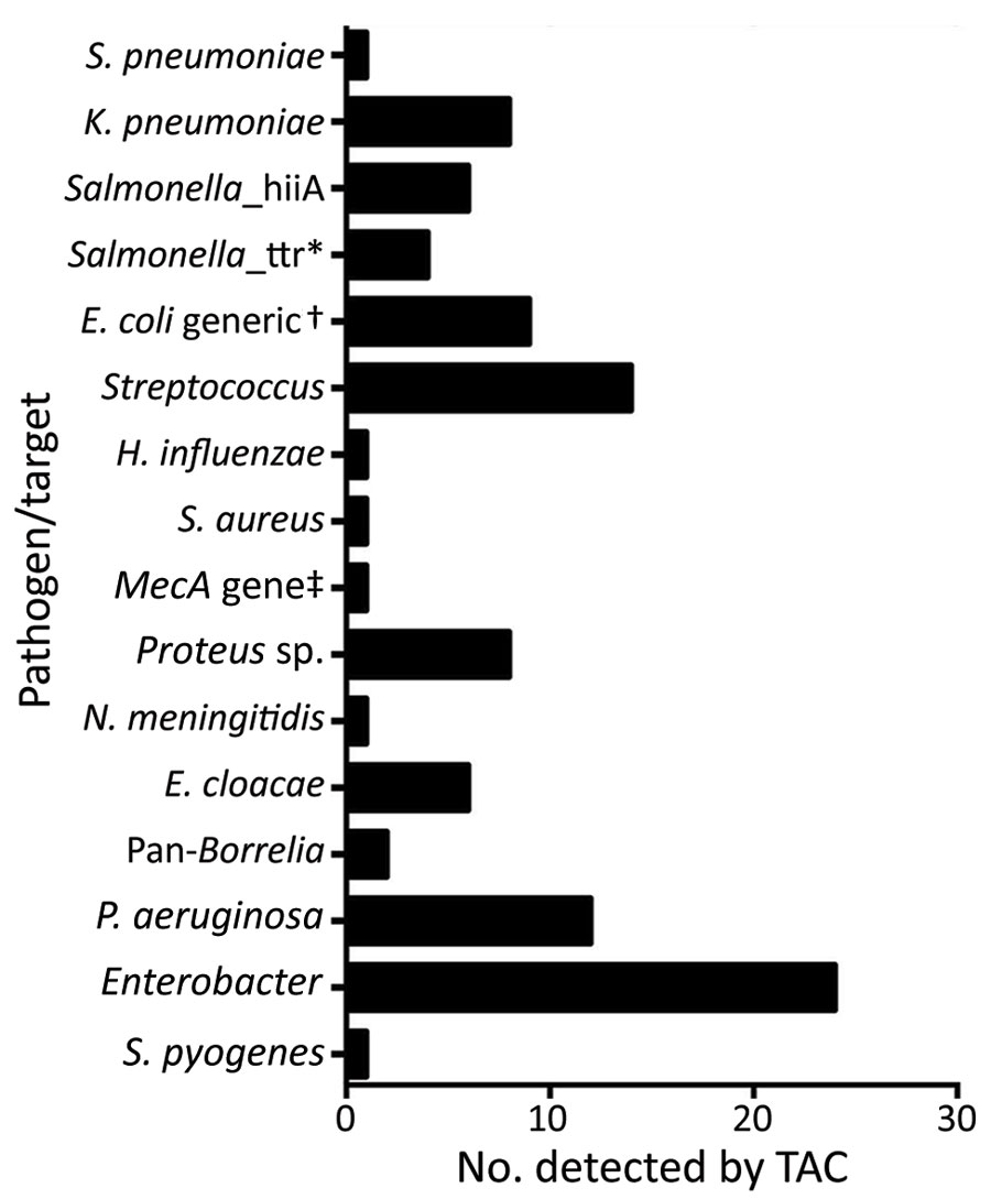 Number of samples from patients who met the case definition for Lassa fever that were positive for specific bacterial pathogens, among 160 samples tested, Nigeria, 2018. *All Salmonella_ttr–positive samples also registered as Salmonella_hilA–gene positive. †Includes one EAggEC. ‡Sample also positive for Streptococcus, Proteus spp., and Pseudomonas aeruginosa. E. cloacae, Enterobacter cloacae; EAggEC, enteroaggregative E. coli; E. coli, Escherichia coli; H., Haemophilus; K., Klebsiella; N., Neisseria; P., Pseudomonas; S., Streptococcus; TAC, TaqMan Array Cards (Applied Biosystems, https://www.thermofisher.com); ttr, tetrathionate.