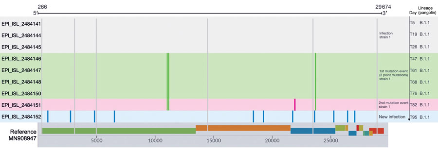 Sequence polymorphisms detected over time among the 9 whole-virus genome sequences from an immunocompromised patient with prolonged severe acute respiratory syndrome coronavirus 2 (SARS-CoV-2) infection, Ireland. The mutations are represented by different colors; gray lines indicate the polymorphisms common to the 9 whole-virus genome sequences compared with the reference whole-virus genome (GenBank accession no. MN908947, SARS-CoV-2 isolate Wuhan-Hu-1). The infection was confirmed on day 5 of infection (at admission to the emergency department), and the sequencing demonstrated stability of the virus genome sequence on days 19 (T19) and 26 (T26) after the first detection. Green indicates mutations detected in the sample at 47 days after first the emergency department admission (T47), T61, T68, and T76. At sample time T82, the strain exhibited a fourth mutation (pink) corresponding to the second mutation event. On day 95, a bronchoalveolar lavage sample from the patient was positive for SARS-CoV-2 and the whole-virus genome had a different set sequence polymorphism that probably originated from a new infection event. GISAID (https://www.gisaid.org) identification numbers are provided.