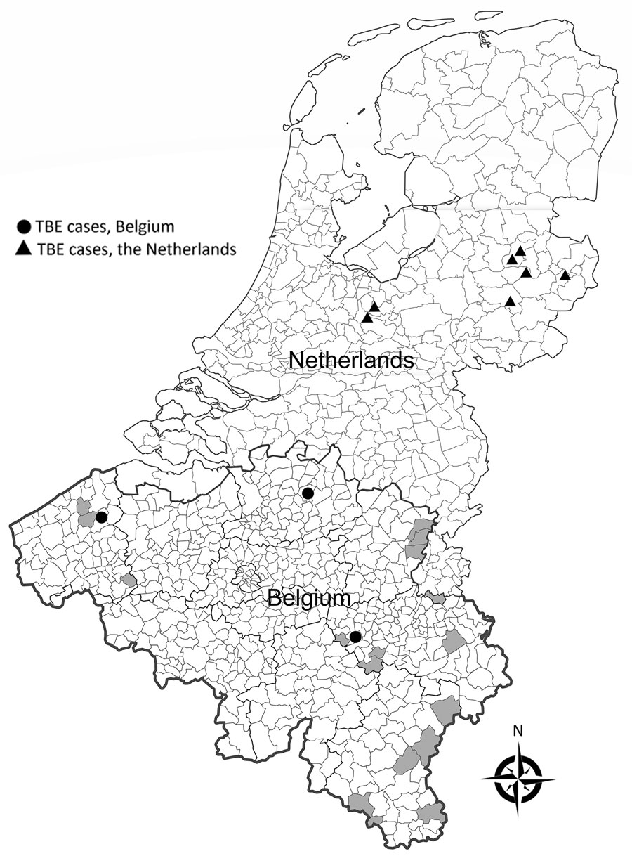 Geographic distribution of autochthonous human cases of tick-borne encephalitis, Belgium and the Netherlands (adapted from National Institute of Public Health and Environment [10]). Grey shading indicates communities in Belgium in which antibodies against tick-borne encephalitis virus have been detected in animals (adapted from S. Roelandt [2]).