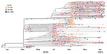 Phylogenetic tree of severe acute respiratory syndrome coronavirus 2 specimens sequenced in Dane County, Wisconsin, USA, January 2020–January 2021, coded by age of case-patient providing specimen. 