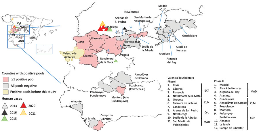 Local distribution of sampling areas in study of Crimean-Congo hemorrhagic fever virus in ticks, Spain. Pink indicates areas where CCHFV was detected in tick pools during this study; triangles indicate human cases. Inset shows locations of sampling areas in Spain. CyL, Castile and León; CLM, Castile-La Mancha; MAD, Madrid; EXT, Extremadura; AND, Andalusia; MUR, Murcia