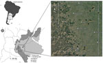 Sampling sites study of effect of agroecosystems on seroprevalence of St. Louis encephalitis and West Nile viruses in birds in the Pampean Grasslands, northeastern La Pampa Province, Argentina. Inset map at top left shows location of sites in South America. LP, La Pampa.