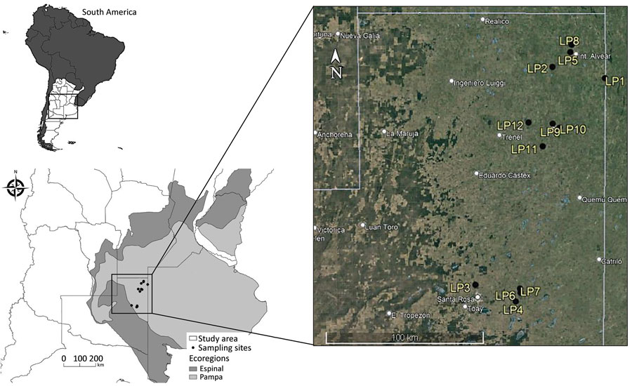 Sampling sites study of effect of agroecosystems on seroprevalence of St. Louis encephalitis and West Nile viruses in birds in the Pampean Grasslands, northeastern La Pampa Province, Argentina. Inset map at top left shows location of sites in South America. LP, La Pampa.