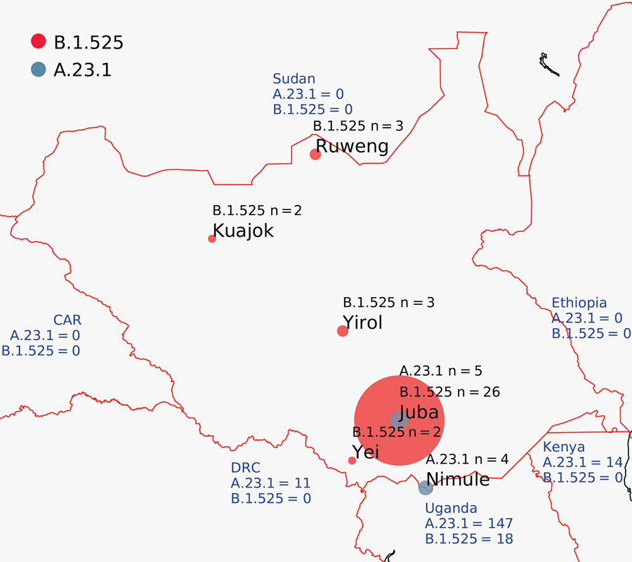 Locations of severe acute respiratory syndrome coronavirus 2 infection case-patients from whom genomes were isolated, South Sudan. Red circles indicate viruses of lineage B.1.525; dark gray circles indicate lineage A.23.1. Circle size is proportional to number of genomes. Blue text shows the number of A.23.1 and B.1.525 genomes reported from neighboring countries. CAR, Central African Republic; DRC, Democratic Republic of the Congo. 