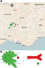 Geographic location of 28 wild boar Escherichia coli O139:H1 strains in France (A) and phylogeny represented as a minimum spanning tree (B) using BioNumerics 7.6.3 (bioMérieux, https://www.biomerieux.com). Sizes of the discs represent number of isolates. Colors of the discs represent year of isolation (green, 2013–2016; red, 2019). Numbers of differing single-nucleotide polymorphisms (SNPs) are indicated on connecting lines between the nodes.
