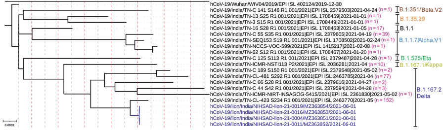 Figure - SARS-CoV-2 Delta Variant among Asiatic Lions, India - Volume