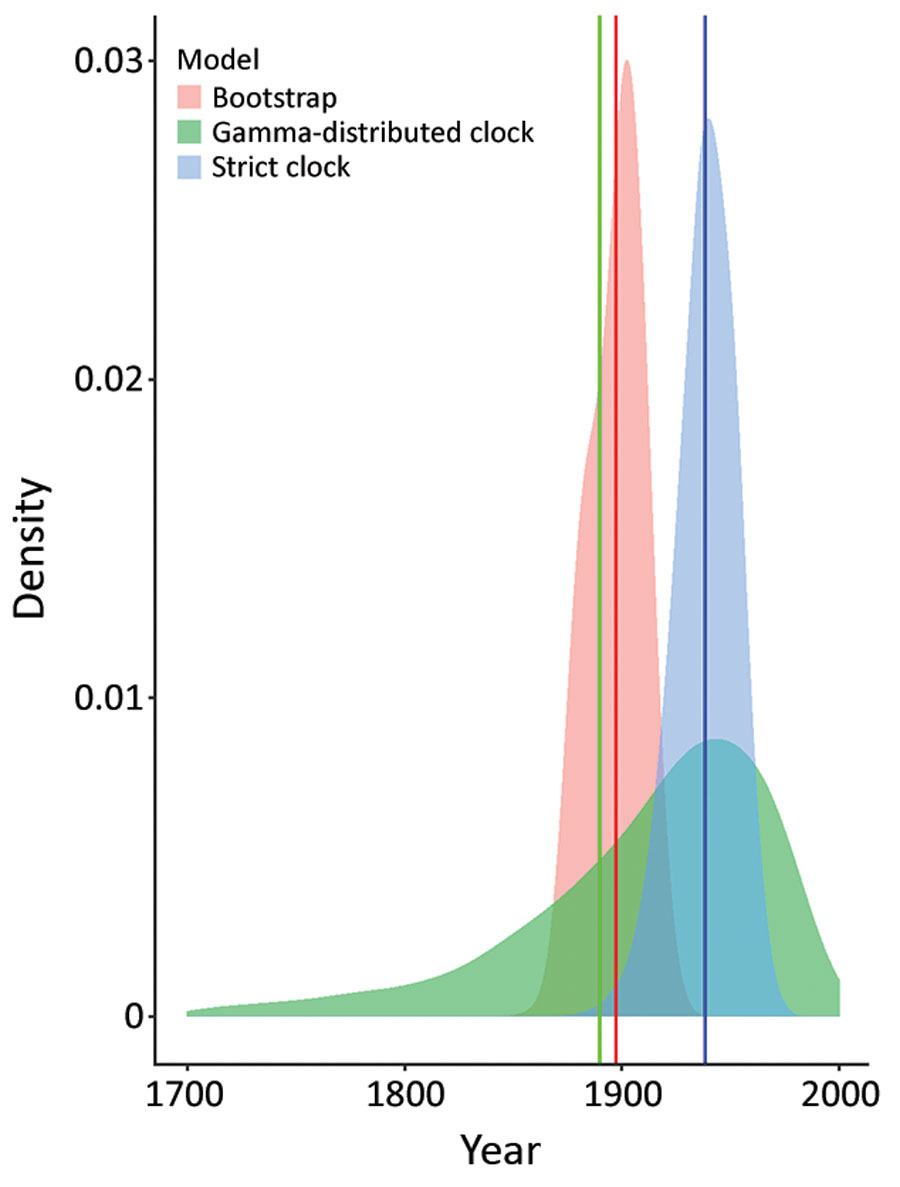 Molecular clock estimates of the date of the most recent common ancestor of US hound Leishmania samples. Shaded densities are normal kernel densities for the bootstrap estimates from PATHd8 analysis and from posterior samples for strict clock and relaxed clock with uncorrelated gamma-distributed rates in BEAST version 1.10.4 (https://beast.community). These distributions in each case represent the estimated uncertainty in the divergence date of Leishmania infantum isolates from US hounds and from Europe. Vertical lines in the same colors are at the means of each distribution.