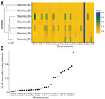 Aneuploidy variation of Leishmania isolates from US hunting hounds. A) Aneuploidy profiles, shown as a heatmap of estimated somy for each isolate and chromosome. The sample phylogeny is extracted from Figure 1. B) Chromosome-specific variation in somy across US hound isolates. Variation in somy between isolates provides a conservative estimate of somy variation, as it ignores within-isolate variation.
