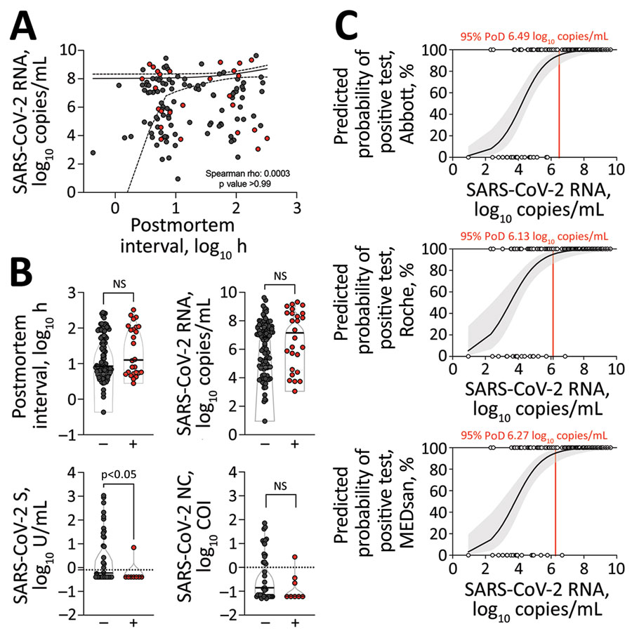 Overview of 128 consecutive records of SARS-CoV-2–associated deaths received by the Institute of Legal Medicine, Hamburg, Germany, 2020–2021. A) SARS-CoV-2 RNA loads by postmortem intervals. Spearman correlation was performed; estimates and 95% CI are shown. B) Postmortem intervals, viral RNA loads, quantitative (S), and qualitative (NC) antibody levels compared among culture-positive (+) and culture-negative (–) corpses. Comparisons were performed using Mann-Whitney-U or χ2 testing, as appropriate. Median and interquartile ranges are shown. Horizontal dotted lines indicate cutoff value. C) Probability of positive antigen-detecting rapid diagnostic test results depending on viral RNA loads calculated by binomial logistic regression. Robust estimates with 95% CI are shown. Vertical red line indicates 95% PoD with the corresponding viral RNA load. Ag-RDT, antigen-detecting rapid antigen test; COI, cut-off index; NC, nucleocapsid; NS, not significant; PoD, probability of detection; S, spike; SARS-CoV-2, severe acute respiratory syndrome coronavirus 2.