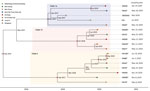 Time-scaled Bayesian maximum clade credibility phylogenetic tree of Neisseria gonorrhoeae ST13871 (17 isolates) with date of collection and location of collected isolates, Vietnam, 2019–2020. Red diamonds show posterior probability >90%; internal node labels show estimated time to most recent common ancestor.