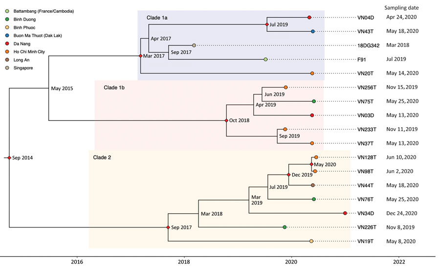 Time-scaled Bayesian maximum clade credibility phylogenetic tree of Neisseria gonorrhoeae ST13871 (17 isolates) with date of collection and location of collected isolates, Vietnam, 2019–2020. Red diamonds show posterior probability >90%; internal node labels show estimated time to most recent common ancestor.