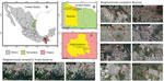 Sampling locations in Tuxtla Gutierrez, Chiapas, and Reynosa, Tamaulipas, Mexico, for study of  neutralizing antibodies for mosquito-borne flaviviruses in domestic dogs. Map was created using QGIS 3.18.2 (https://qgis.org/en/site) with public domain map data from Instituto Nacional de Estadística, Geografía e Informatica (National Institute of Statistics, Geography, and Computer Science [INEGI]; https://www.inegi.org.mx/app/mapas) and satellite images from Google Maps (https://www.google.com.mx/maps).